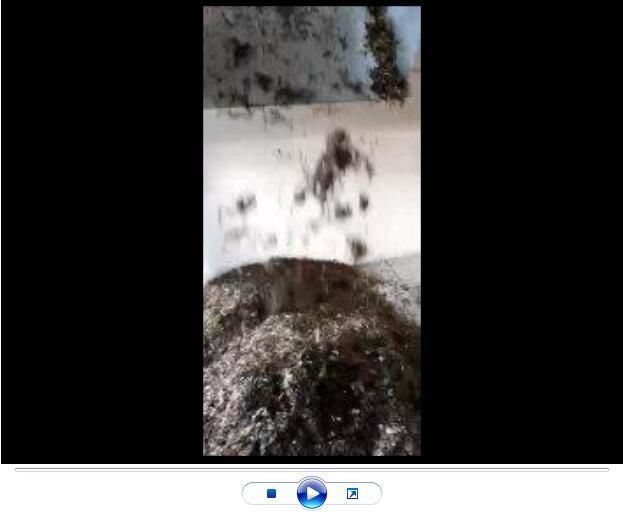 點擊查看詳細(xì)信息<br>標(biāo)題：玄武巖纖維生產(chǎn)中【視頻】 閱讀次數(shù)：2810