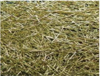 點(diǎn)擊查看詳細(xì)信息<br>標(biāo)題：鍍銅微絲鋼纖維 閱讀次數(shù)：4599